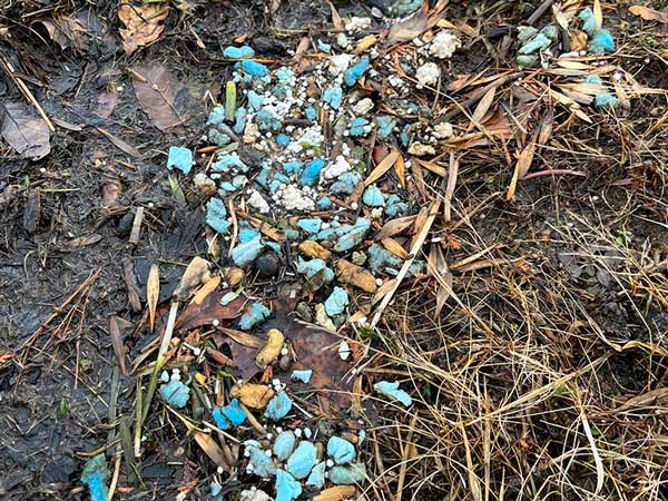 Blue dock foam pieces litter the shoreline