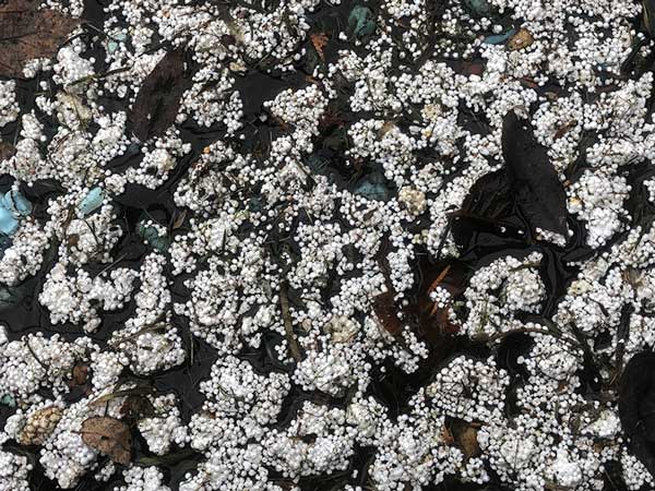 Loose beads of dock foam pollution on shore