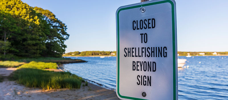A sign reads Closed to shellfishing