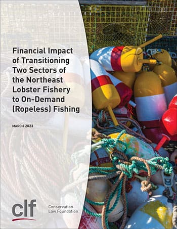 Report Cover: Financial Impact of Transitioning Two Sectors of the Northeast Lobster Fishery to On-Demand (Ropeless) Fishing