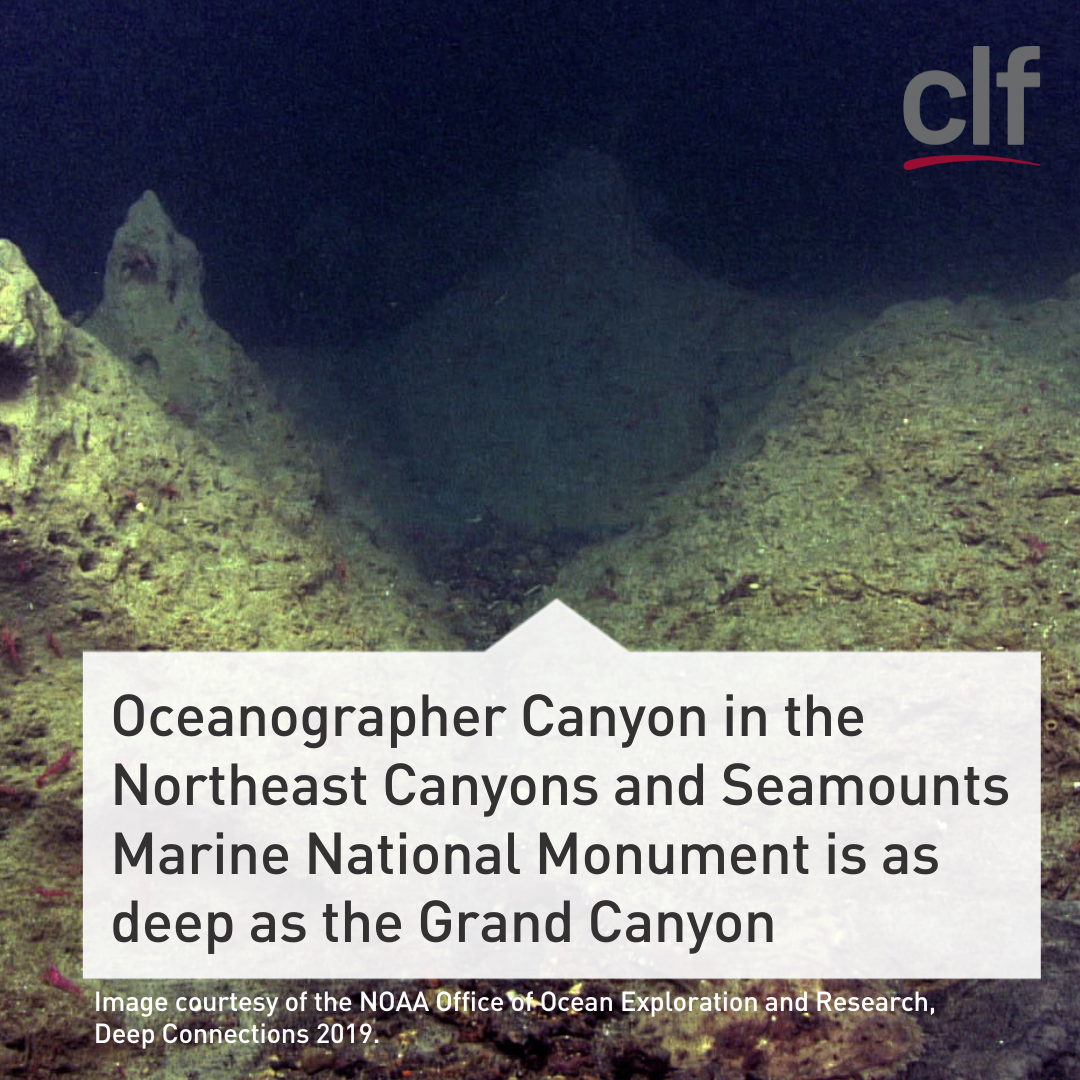 Oceanographer Canyon
