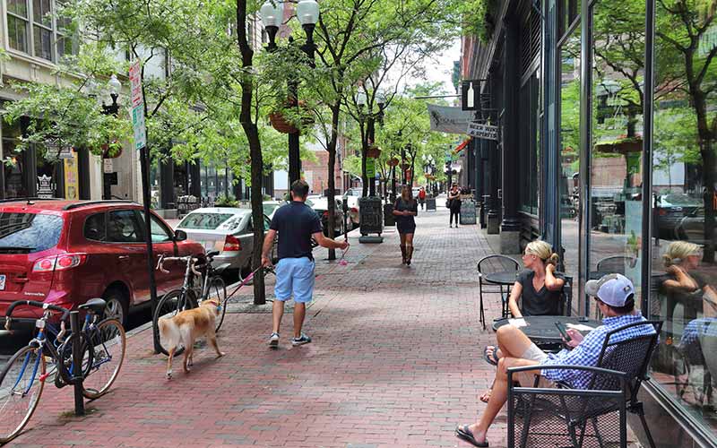 People sitting and walking along a treelined street