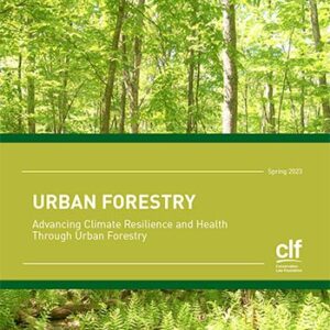 Report cover called Urban Forestry