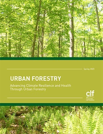 Report cover called Urban Forestry