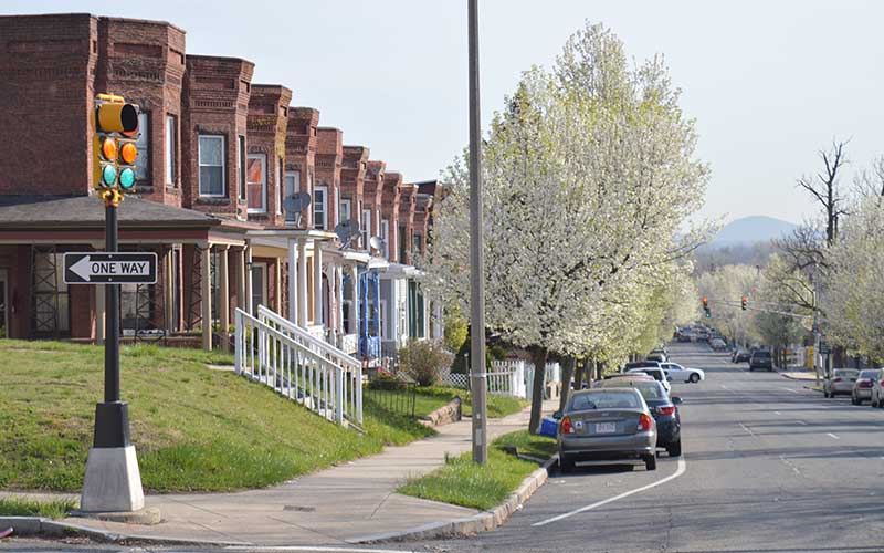 A street in Holyoke, Massachusetts, lined with trees in bloom