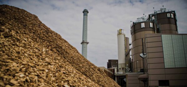 Wood chips at a biomass plant