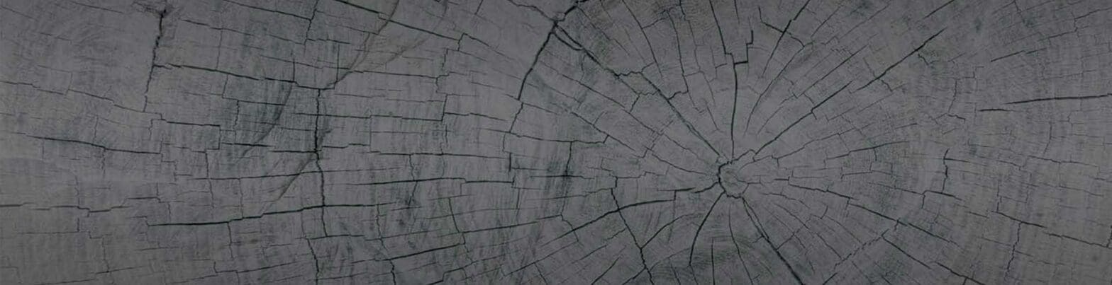 Photo of wood grain from a sawn log