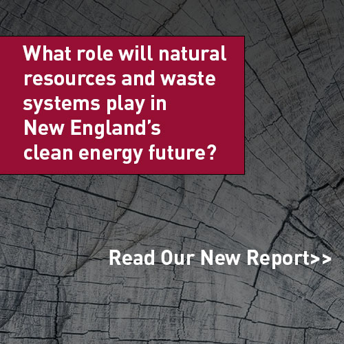 Photo shows a monochromatic close-up of the cross-section of a cut tree. White text in a red box reads: What role will natural resources and waste systems play in New England's clean energy future. White text against the photo reads: Read our new report.