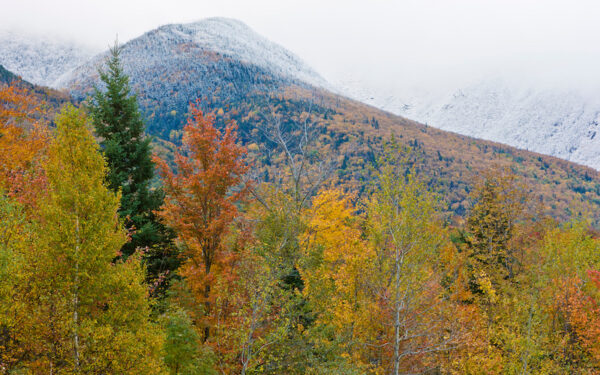 An aerial view of New Hampshire's White Mountains National Forest in the Fall. The tops of trees are covered in green, orange, and yellow leaves – met by a background of mountains covered in a thick white mist.