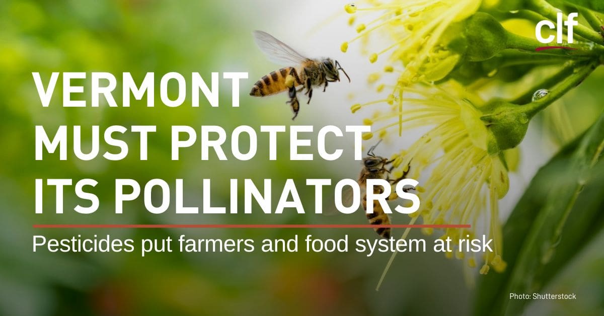 It's Time for Vermont to Protect its Pollinators, Farmers, and Food