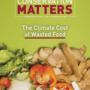 Newsletter cover reads "Conservation Matters, Conservation Law Foundation" at the top. Image shows a vegetable scraps laying against a bright green background. In the middle of the image are the words "The Climate Cost of Wasted Food".