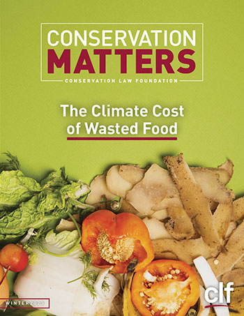 Newsletter cover reads "Conservation Matters, Conservation Law Foundation" at the top. Image shows a vegetable scraps laying against a bright green background. In the middle of the image are the words "The Climate Cost of Wasted Food".