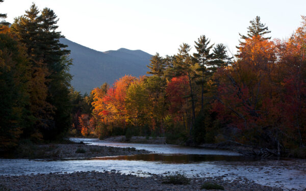 An angled shot of swift river in New Hampshire's White Mountains. The trees are changing color for the fall, mostly a green and orange. There are mountains in the background against a daylight sky.