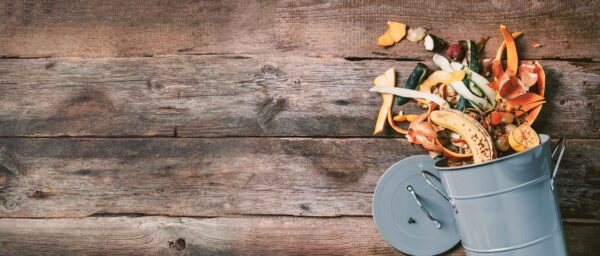 Food waste spills out of a metal bucket laying against wood planks.