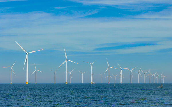 Rows of wind turbines on the water