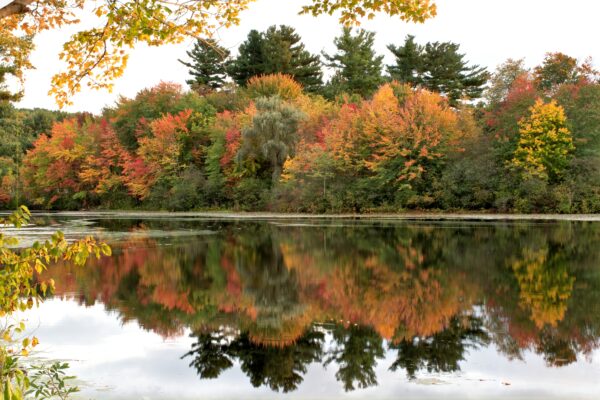 Fall day at Mill Pond