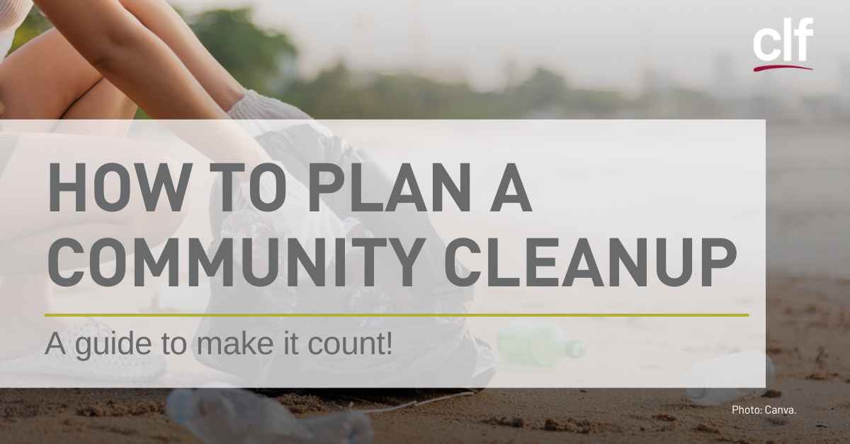 Illustration of Clean Neighborhood in 2025