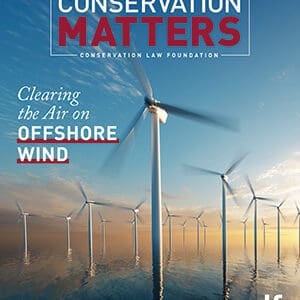 An offshore wind farm with the text Conservation Matters and Clearing the Air on Offshore Wind