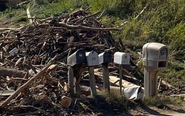 Mailboxes in front of a pile of tree branches show damage from Hurricane Helene