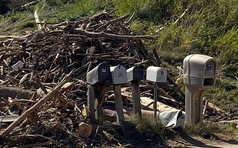 Mailboxes in front of a pile of tree branches show damage from Hurricane Helene