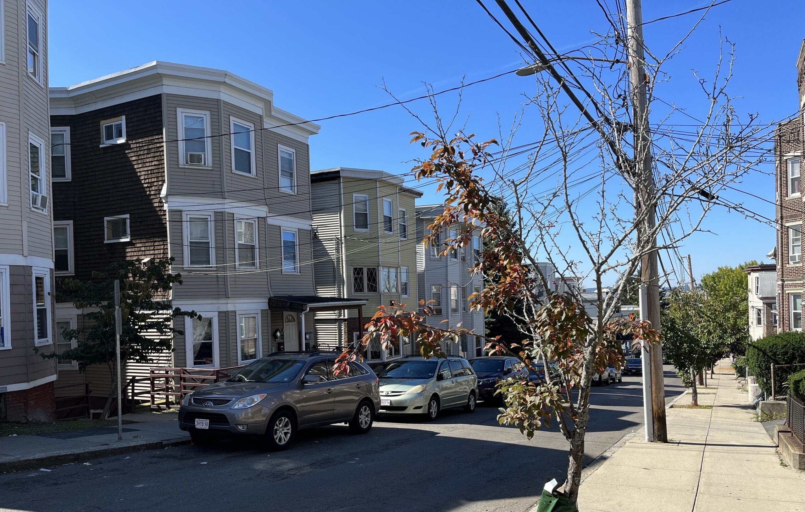 Gas Leaks Are Killing Trees in Our Communities - Conservation Law ...