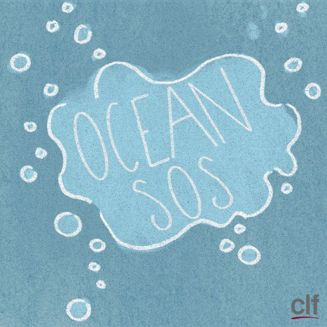 "Ocean SOS," on a bubbly underwater background