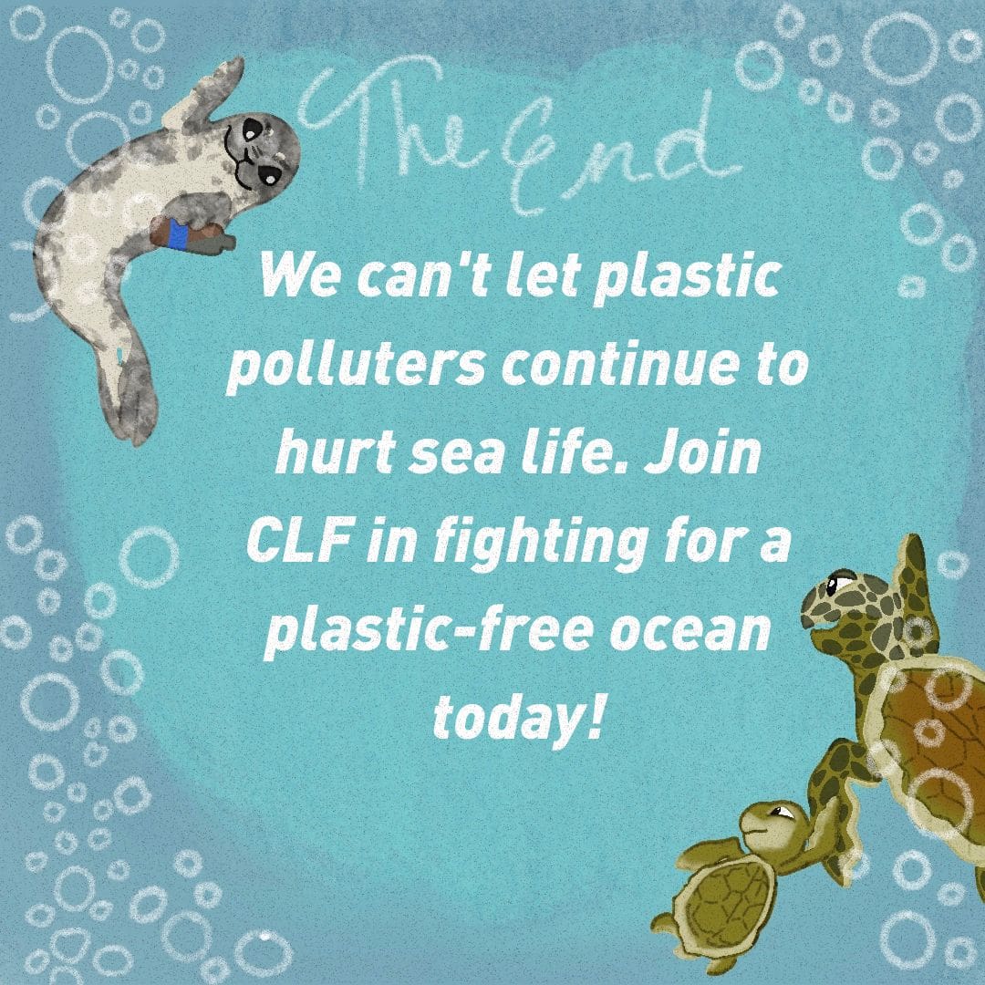 Sally the Seal holds the bottle that was stuck on the little turtle's head. The mother and freed baby turtle swim happily away. Text overlay: "The End. We can't let plastic polluters continue to hurt sea life. Join CLF in fighting for a plastic-free ocean today."