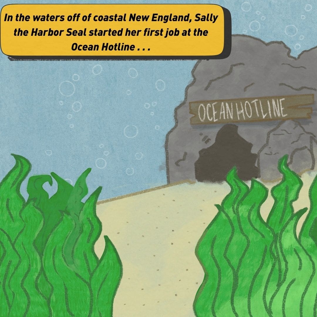A sign reading "Ocean Hotline" sits over the opening to an underwater cave. A text bubble reads, "In the waters off of coastal New England, Sally the Harbor Seal started her first job at the Ocean Hotline ..."