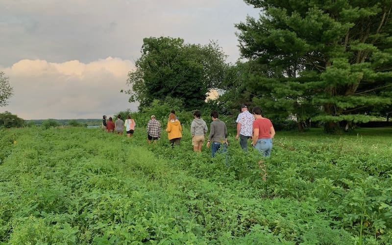 People walking away in a crop field