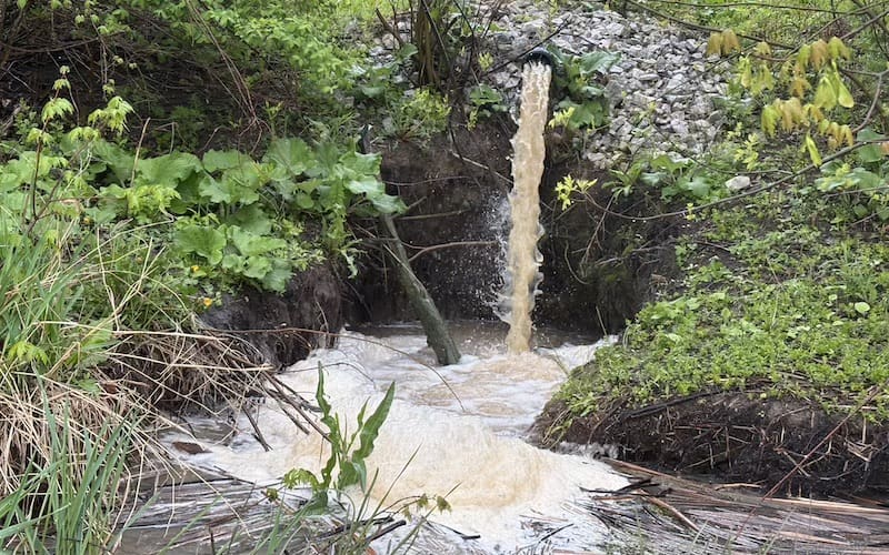 The NM-1 outfall from the Vorsteveld operation in Panton, VT.