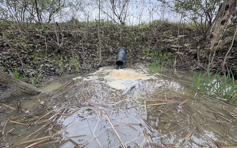 An outfall from the Vorsteveld operation in Panton, VT.