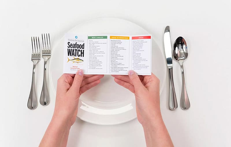 A pair of hands holds a Seafood Watch guide from the Monterey Bay Aquarium over an empty plate and silverware. The guide shows a green, yellow, and red list.