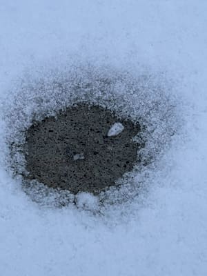 A grain of salt that's melted a significant circle of snow