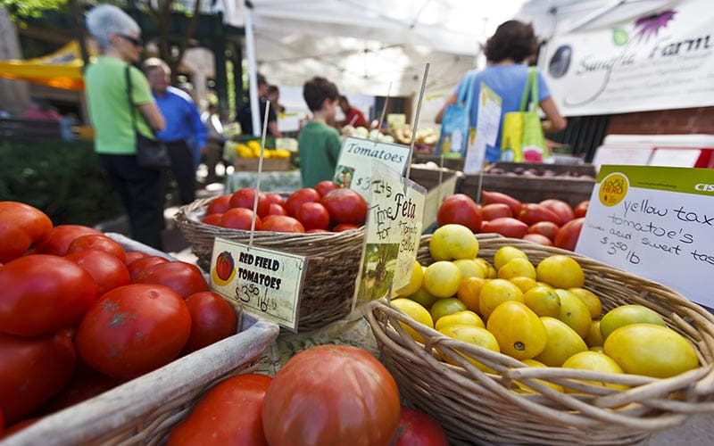 Baskets of red and yellow tomatoes in a farmers market